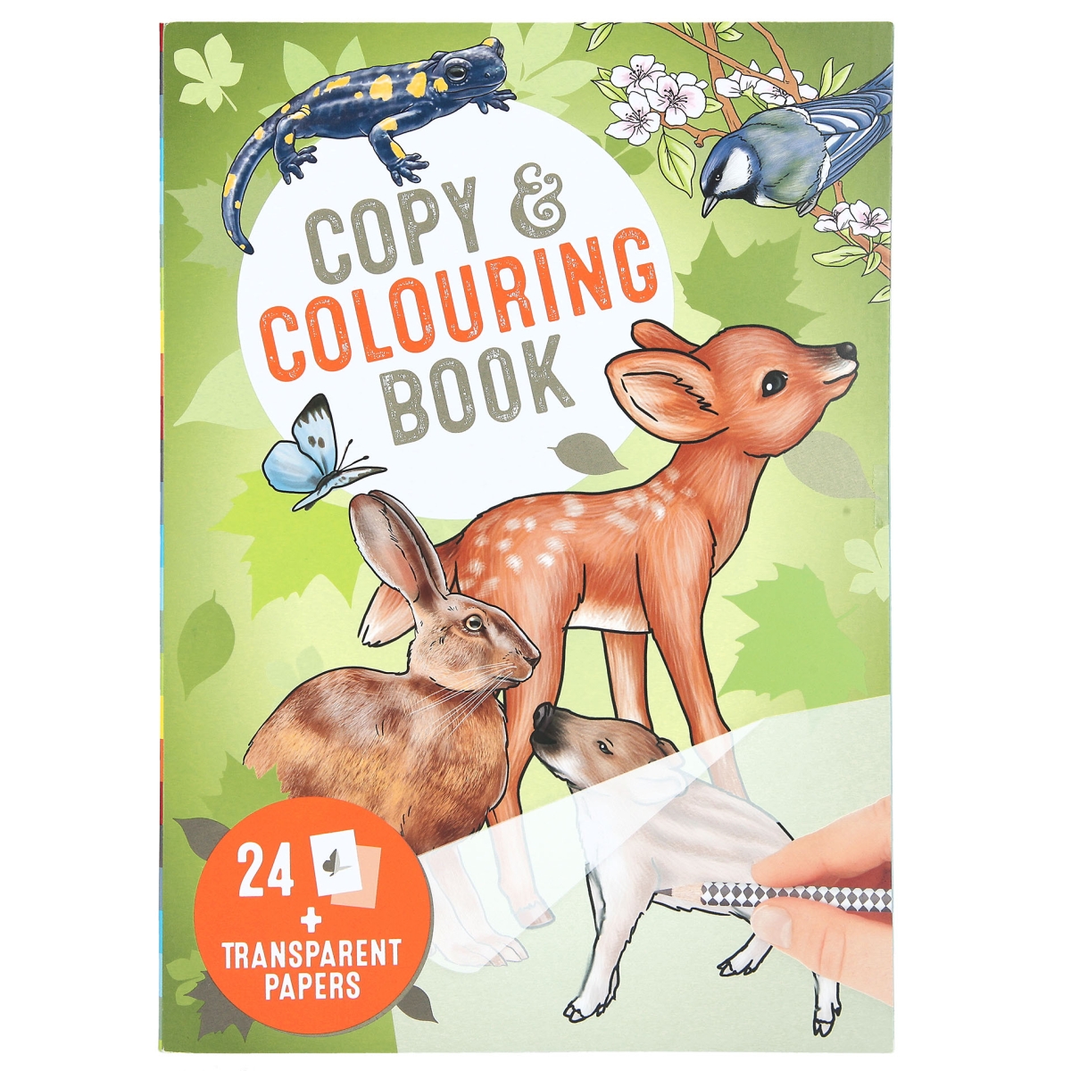 Depesche - Wildlife Copy & Colouring Book